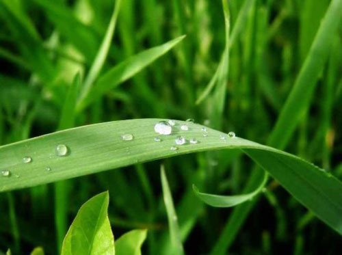 純凈美麗的大自然