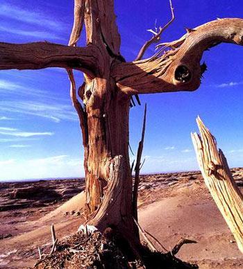 國內(nèi)十大趕緊去的地方