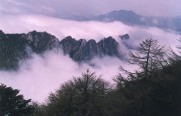 國內(nèi)十大趕緊去的地方