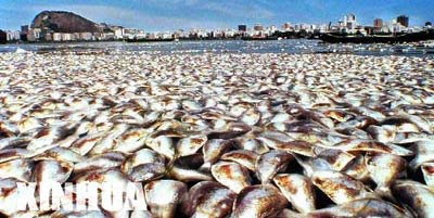 震顫心靈的地球遺書